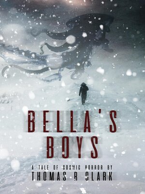 cover image of Bella's Boys